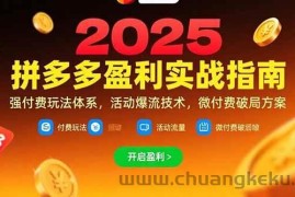 （15357期）拼多多盈利实战指南，强付费玩法，活动爆流技术，微付费破局方案(更新7月)