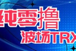 （6265期）最新国外零撸波场项目 类似空投,目前单窗口一天可撸10-15+【详细玩法教程】