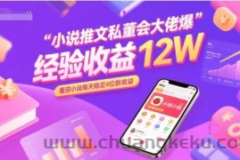小说推文私董会大佬爆单经验分享收益12W，番茄小说每天稳定4位数收益