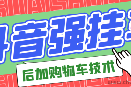 （2789期）市面上割299的抖音后挂购物车技术（经过测试，非常好用）