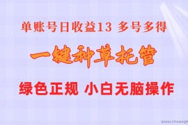 （10776期）一键种草托管 单账号日收益13元  10个账号一天130  绿色稳定 可无限推广