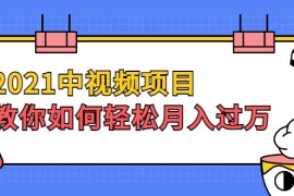 （1999期）2021中视频项目，教你如何轻松月入过万，只讲核心，只讲实操，不讲废话