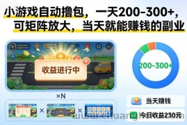 小游戏自动撸包，一天200-300+，可矩阵放大，当天就能賺钱的副业【揭秘】
