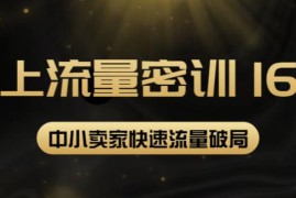 2022秋秋线上流量密训16.0：包含暴力引流10W+中小卖家流量破局技巧等等