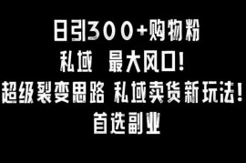 日引300+购物粉，超级裂变思路，私域卖货新玩法，小红书首选副业【揭秘】