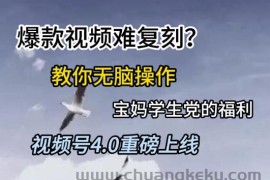 视频号4.0重磅上线，爆款视频难复刻？教你无脑操作宝妈学生党的福利【揭秘】