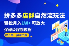 （6545期）拼多多店群自然流玩法，轻松月入1W+ 保姆级视频教程（附上货、拍单工具）