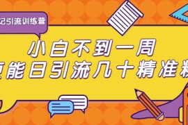 （1733期）清和行记引流训练营：小白不到一周便能日引流几十精准粉