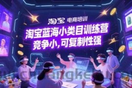 淘宝蓝海小类目训练营， 竞争小，可复制性强