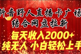 每天收入2000+，抖音野人直播卡广场，结合网盘拉新，纯无人，小白轻松上手