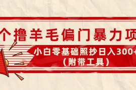 （4110期）外面卖998的三个撸羊毛偏门暴力项目，小白零基础照抄日入300+（附带工具）