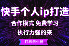 （13023期）快手个人ip打造：执行力强的来 打暴创业粉