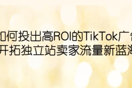 （6102期）如何投出高ROI·TikTok广告，开拓独立站卖家流量新蓝海