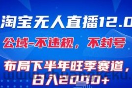 淘宝无人直播12.0，不封号，不违规，布局下半年旺季赛道，日入1k+(独家技术)【揭秘】