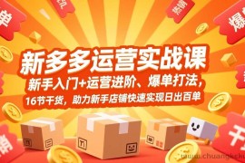 （17342期）拼多多运营实战课，新手入门+运营进阶、爆单打法，16节干货，助力新手店铺快速实现日出百单