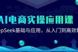 AI电商实操应用课：DeepSeek基础与应用，从入门到高效输出