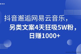 抖音邂逅网易云音乐，另类文案4天狂吸5W粉，日赚1000+