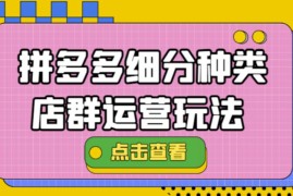 （4373期）拼多多细分种类店群运营玩法3.0，11月最新玩法，小白也可以操作