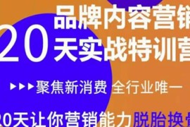 《内容营销实操特训营》20天让你营销能力脱胎换骨（价值3999）