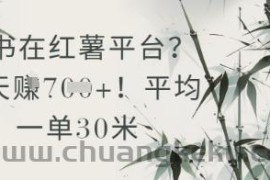 抄书在小红薯平台？平均一单30米，一天收益几张！