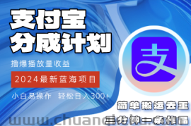 （12058期）2024蓝海项目，支付宝分成计划项目，教你刷爆播放量收益，三分钟一条作…