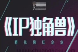 IP独角兽，孵化网红企业，ip教程