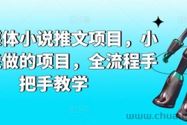 AI自媒体小说推文项目，小白也能做的项目，全流程手把手教学