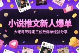 小说推文新人爆单大佬每天稳定三位数爆单经验分享