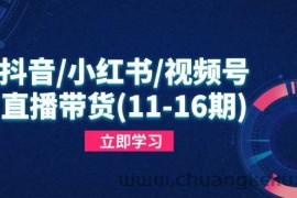 （14611期）抖音/小红书/视频号/直播带货(11-16期)，快速掌握平台规则，打造爆款内容