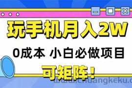 （14879期）玩玩手机月入20000+，0成本小白必做项目，可矩阵