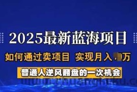 2025蓝海项目，普通人如何通过卖项目，实现月入过W，全过程【揭秘】