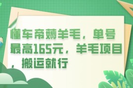 懂车帝薅羊毛，单号最高165元，羊毛项目，搬运就行【揭秘】