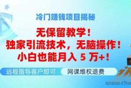 （11864期）冷门赚钱项目无保留教学！独家引流技术，无脑操作！小白也能月入5万+！