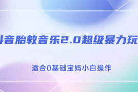 （6915期）抖音胎教音乐2.0，超级暴力变现玩法，日入500+，适合0基础宝妈小白操作