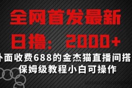 全网首发最新，日撸2000+，外面收费688的金杰猫直播间搭建，保姆级教程小白可操作【揭秘】