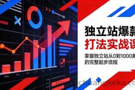 （17322期）独立站爆款打法实战课，掌握独立站从0到1000美金的完整起步流程