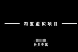 淘宝虚拟项目，从理论到实操，新手也能快速上手