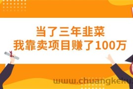 （10725期）当了三年韭菜我靠卖项目赚了100万