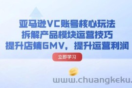 （11848期）亚马逊VC账号核心玩法，拆解产品模块运营技巧，提升店铺GMV，提升运营利润