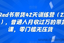 小Red书带货42天训练营（2.0版），普通人月收过万的带货课，零门槛无压货