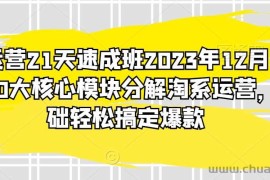 淘系运营21天速成班2023年12月完整版，10大核心模块分解淘系运营，0基础轻松搞定爆款