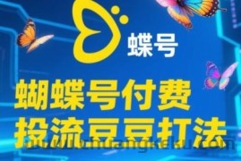 2025蝴蝶号付费投流豆豆打法，助新手快速掌握付费流量撬动自然流的核心玩法