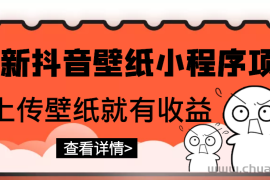 （2775期）最新抖音壁纸小程序项目，上传壁纸就有收益【躺赚收益】