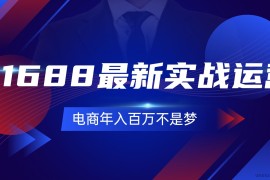 （11857期）1688最新实战运营  0基础学会1688实战运营，电商年入百万不是梦-131节