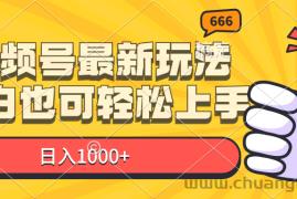 （11881期）视频号最新玩法，小白也可轻松上手，日入1000+