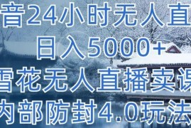 抖音24小时无人直播 日入5000+，雪花无人直播卖课，内部防封4.0玩法【揭秘】