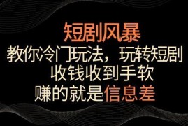 短剧风暴，教你冷门玩法，玩转短剧，收钱收到手软【揭秘】