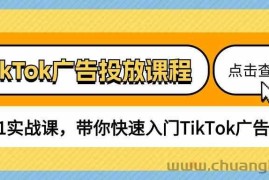 TikTok广告投放课程，从0-1实战课，带你快速入门TikTok广告投放（30节课）