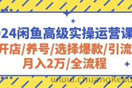 2024闲鱼高级实操运营课程：开店/养号/选择爆款/引流/月入2万/全流程