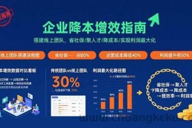 （15888期）企业降本增效指南：搭建线上团队，省社保/聚人才/降成本/实现利润最大化
